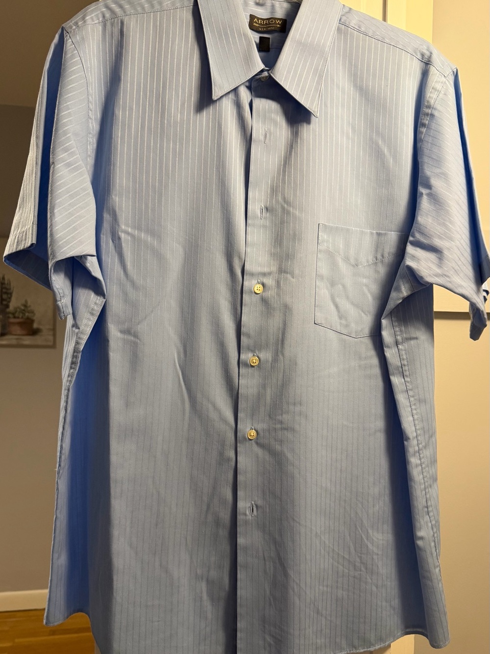 Arrow Light Blue Pinstripe Short Sleeve Button-Down Shirt